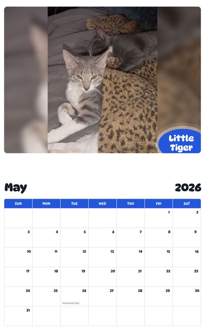 2026 - 2027 Little Tiger - Pawidols Pet Calendar