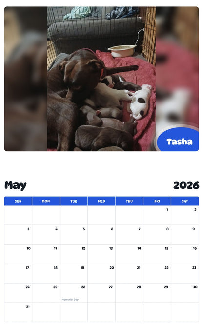 2026 - 2027 Tasha - Pawidols Pet Calendar