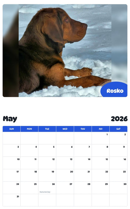 2026 - 2027 Rosko - Pawidols Pet Calendar
