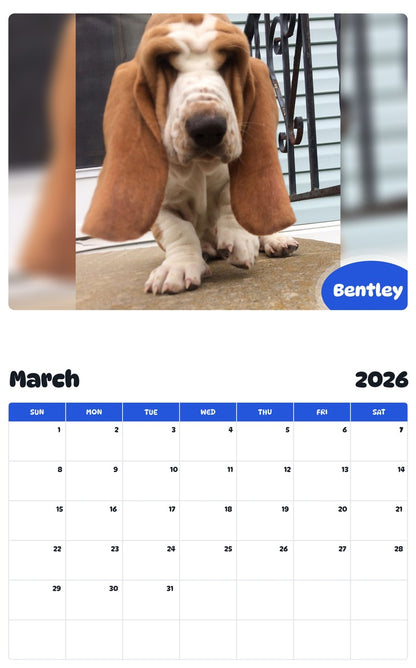 November 2025 - October 2026 Bentley - Pawidols Pet Calendar