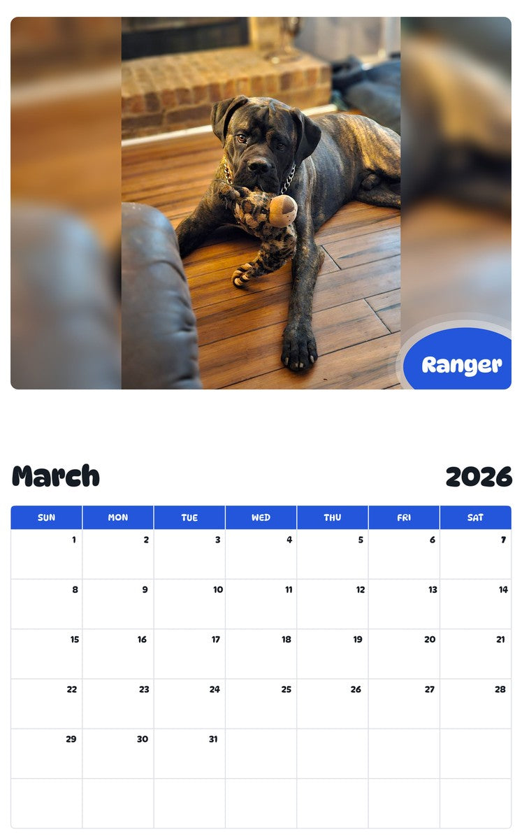 November 2025 - October 2026 Ranger - Pawidols Pet Calendar