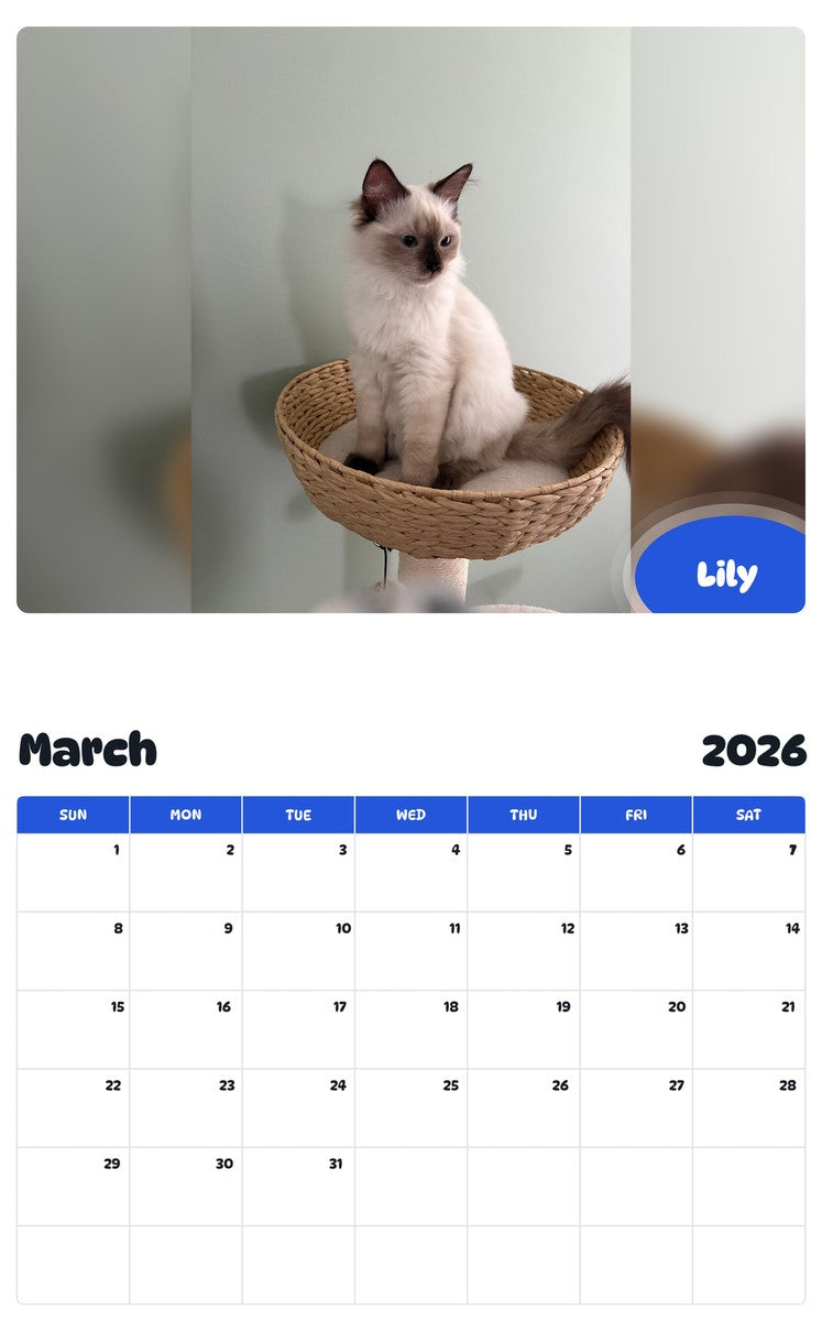 November 2025 - October 2026 Lily - Pawidols Pet Calendar