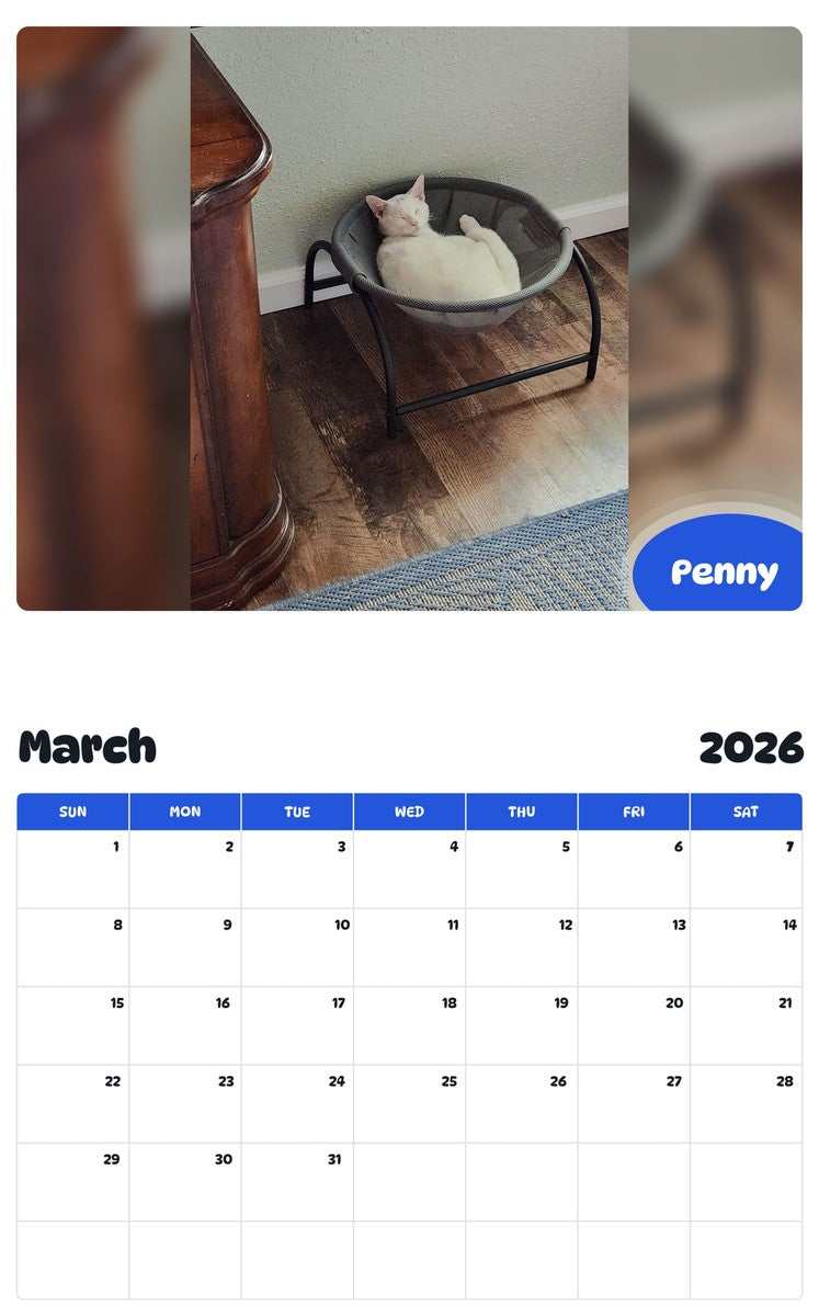 November 2025 - October 2026 Penny - Pawidols Pet Calendar