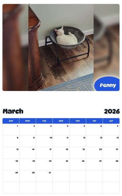 November 2025 - October 2026 Penny - Pawidols Pet Calendar