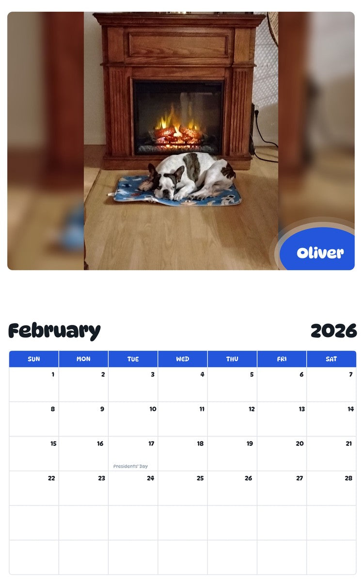 November 2025 - October 2026 Oliver - Pawidols Pet Calendar
