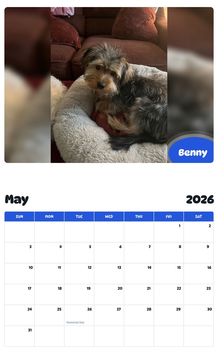 2026 - 2027 Benny - Pawidols Pet Calendar
