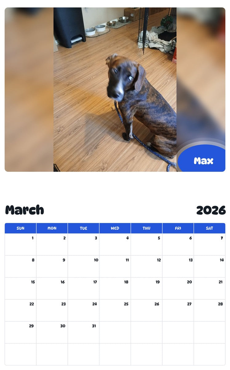 November 2025 - October 2026 Max - Pawidols Pet Calendar