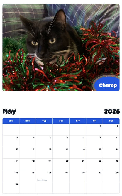 2026 - 2027 Champ - Pawidols Pet Calendar