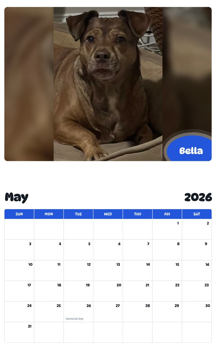 2026 - 2027 Bella - Pawidols Pet Calendar