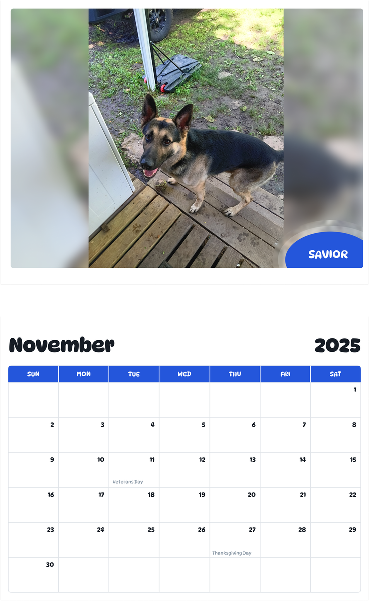 July 2025 - June 2026 Savior - Pawidols Pet Calendar