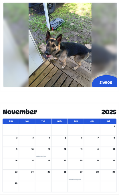 July 2025 - June 2026 Savior - Pawidols Pet Calendar