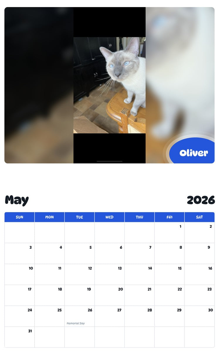 2026 - 2027 Oliver - Pawidols Pet Calendar