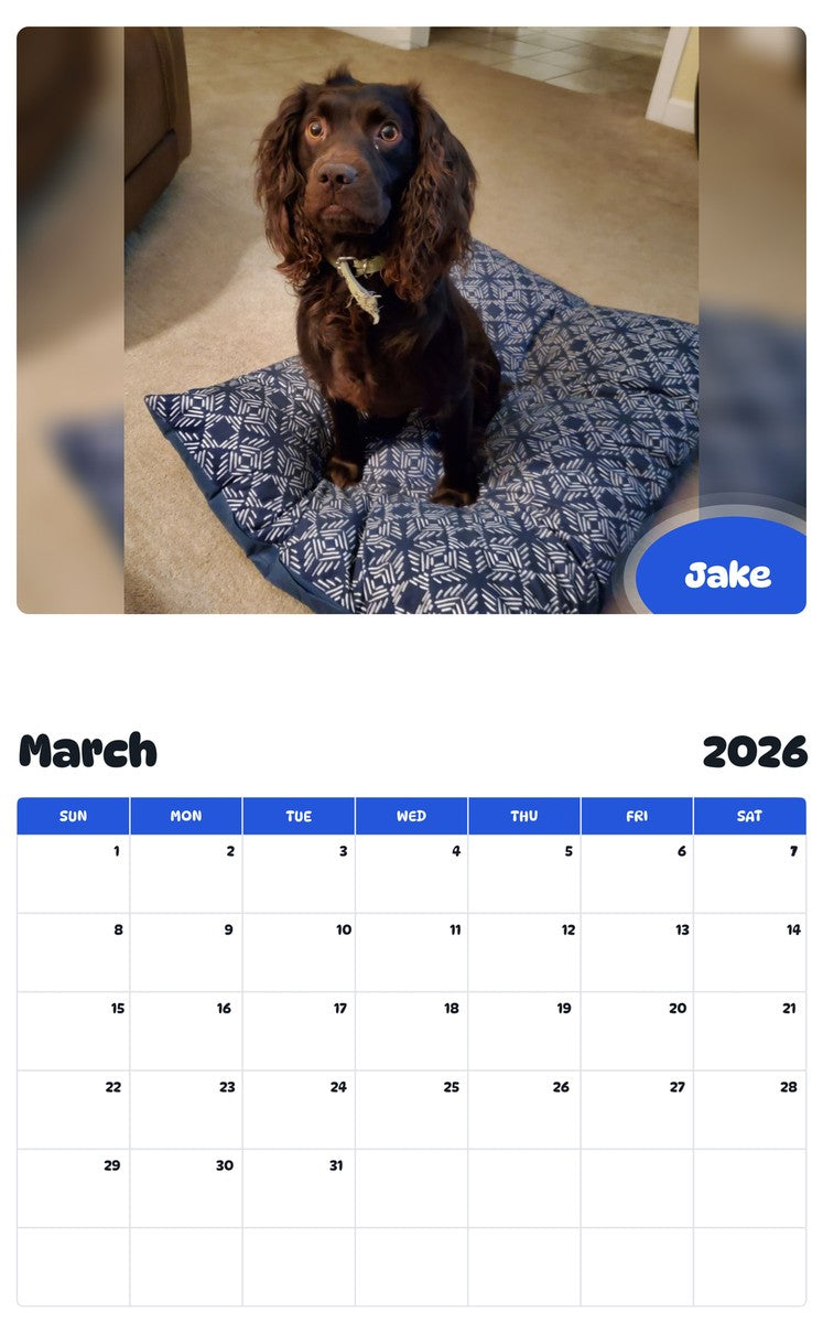 November 2025 - October 2026 Jake - Pawidols Pet Calendar