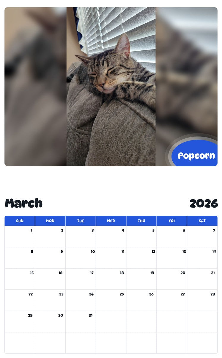 November 2025 - October 2026 Popcorn - Pawidols Pet Calendar