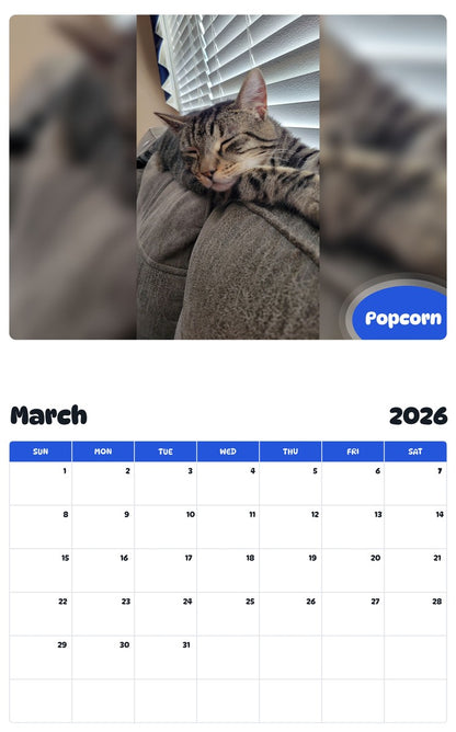 November 2025 - October 2026 Popcorn - Pawidols Pet Calendar