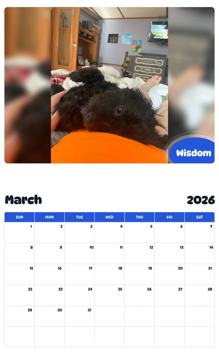November 2025 - October 2026 Wisdom - Pawidols Pet Calendar