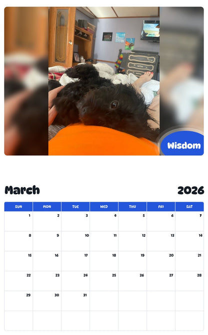November 2025 - October 2026 Wisdom - Pawidols Pet Calendar