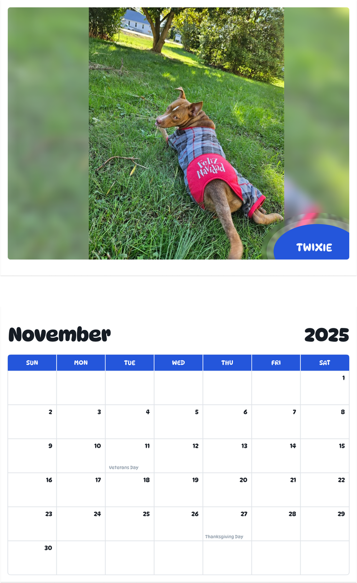 July 2025 - June 2026 Twixie - Pawidols Pet Calendar