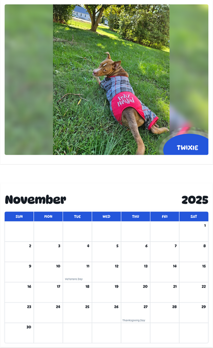 July 2025 - June 2026 Twixie - Pawidols Pet Calendar
