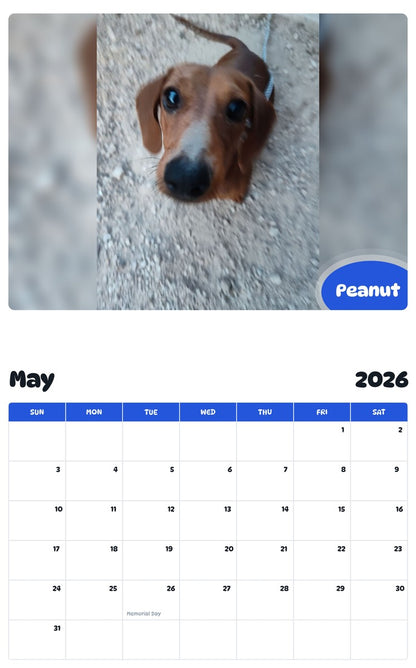 2026 - 2027 Peanut - Pawidols Pet Calendar