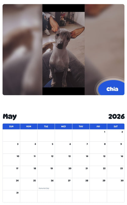 2026 - 2027 Chia - Pawidols Pet Calendar