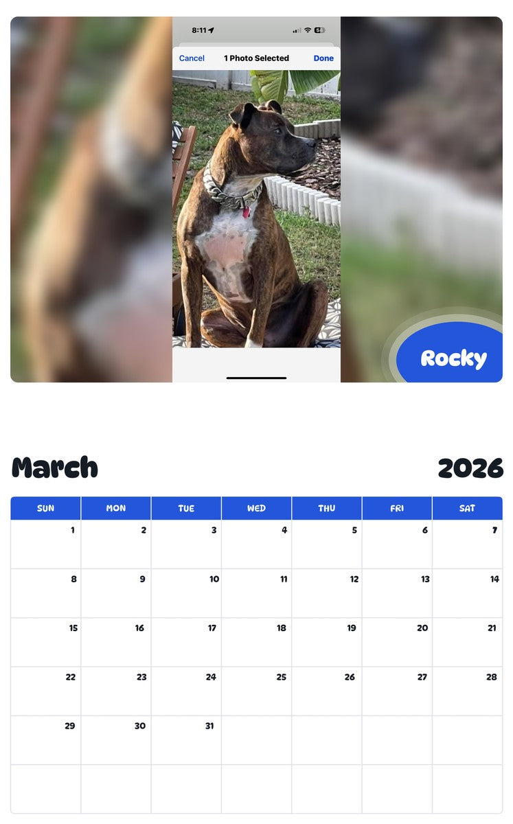 November 2025 - October 2026 Rocky - Pawidols Pet Calendar