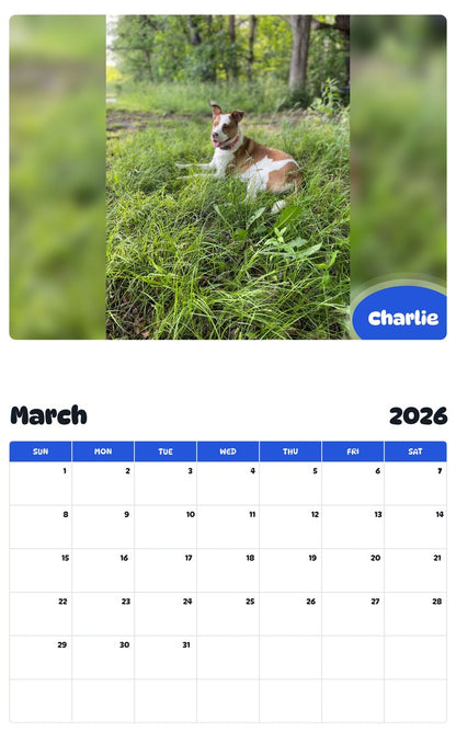 November 2025 - October 2026 Charlie - Pawidols Pet Calendar