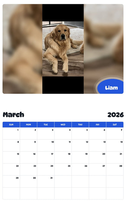 November 2025 - October 2026 Liam - Pawidols Pet Calendar