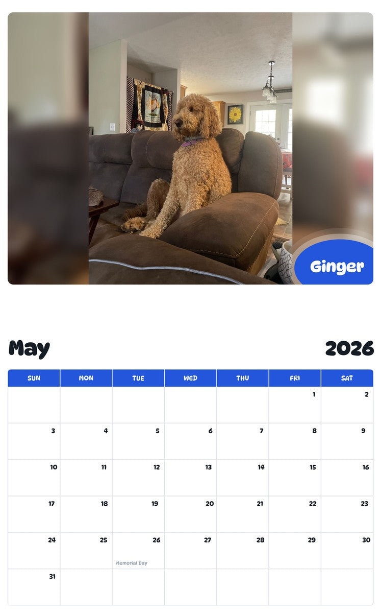 2026 - 2027 Ginger - Pawidols Pet Calendar