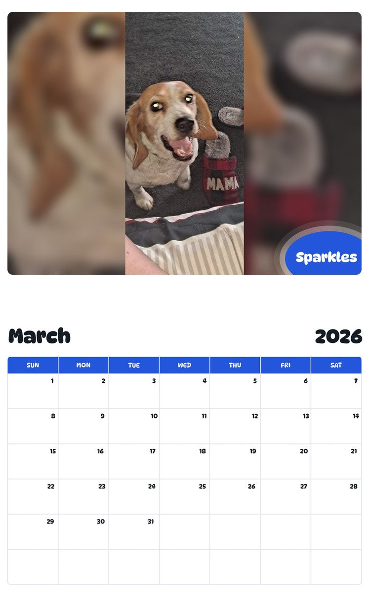 November 2025 - October 2026 Sparkles - Pawidols Pet Calendar