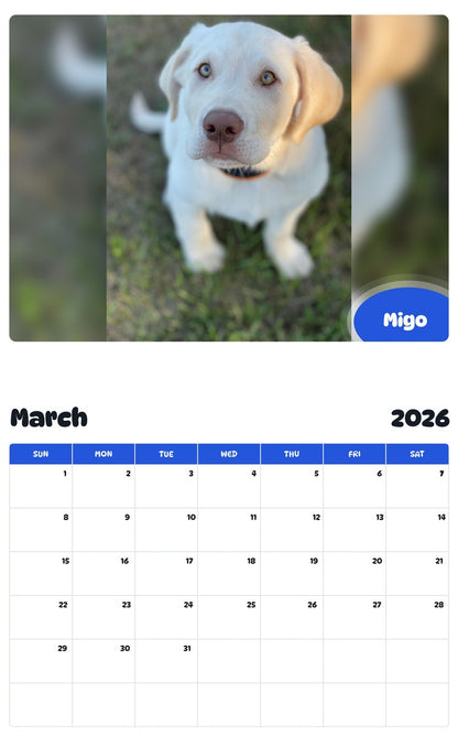 November 2025 - October 2026 Migo - Pawidols Pet Calendar