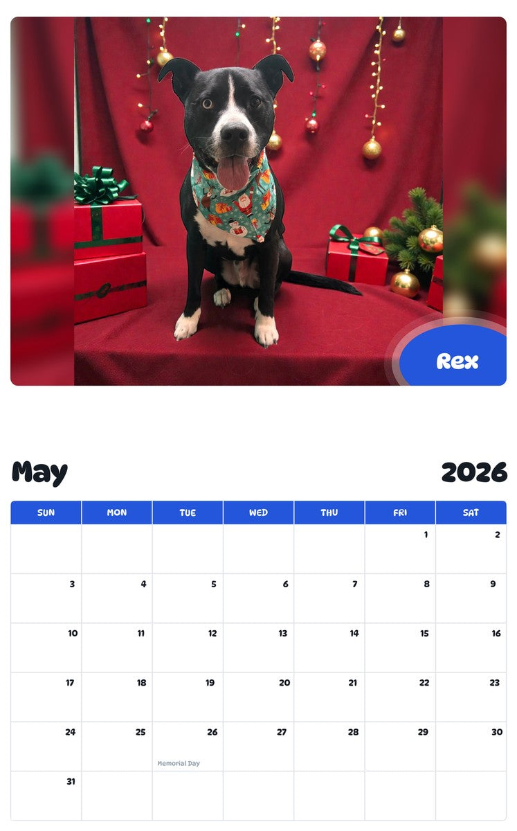 2026 - 2027 Rex - Pawidols Pet Calendar