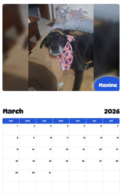 November 2025 - October 2026 Maxine - Pawidols Pet Calendar