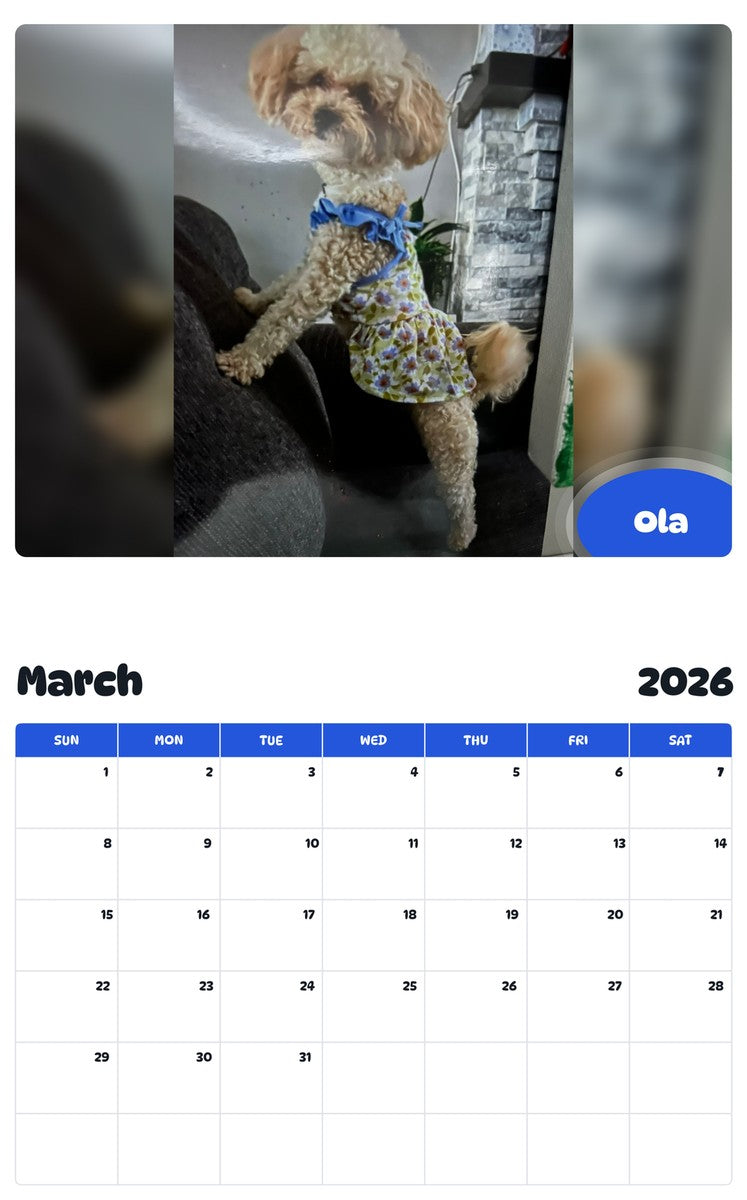 November 2025 - October 2026 Ola - Pawidols Pet Calendar
