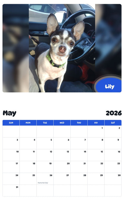 2026 - 2027 Lily - Pawidols Pet Calendar