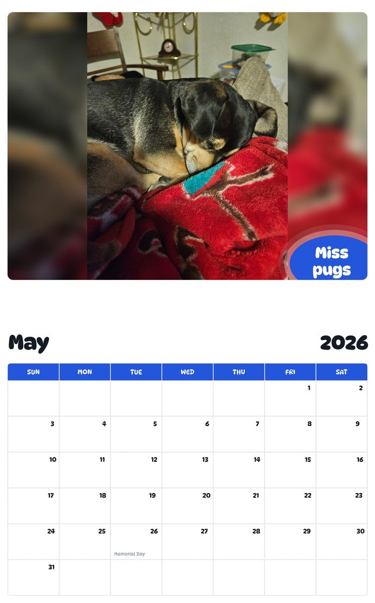 2026 - 2027 Miss pugs - Pawidols Pet Calendar