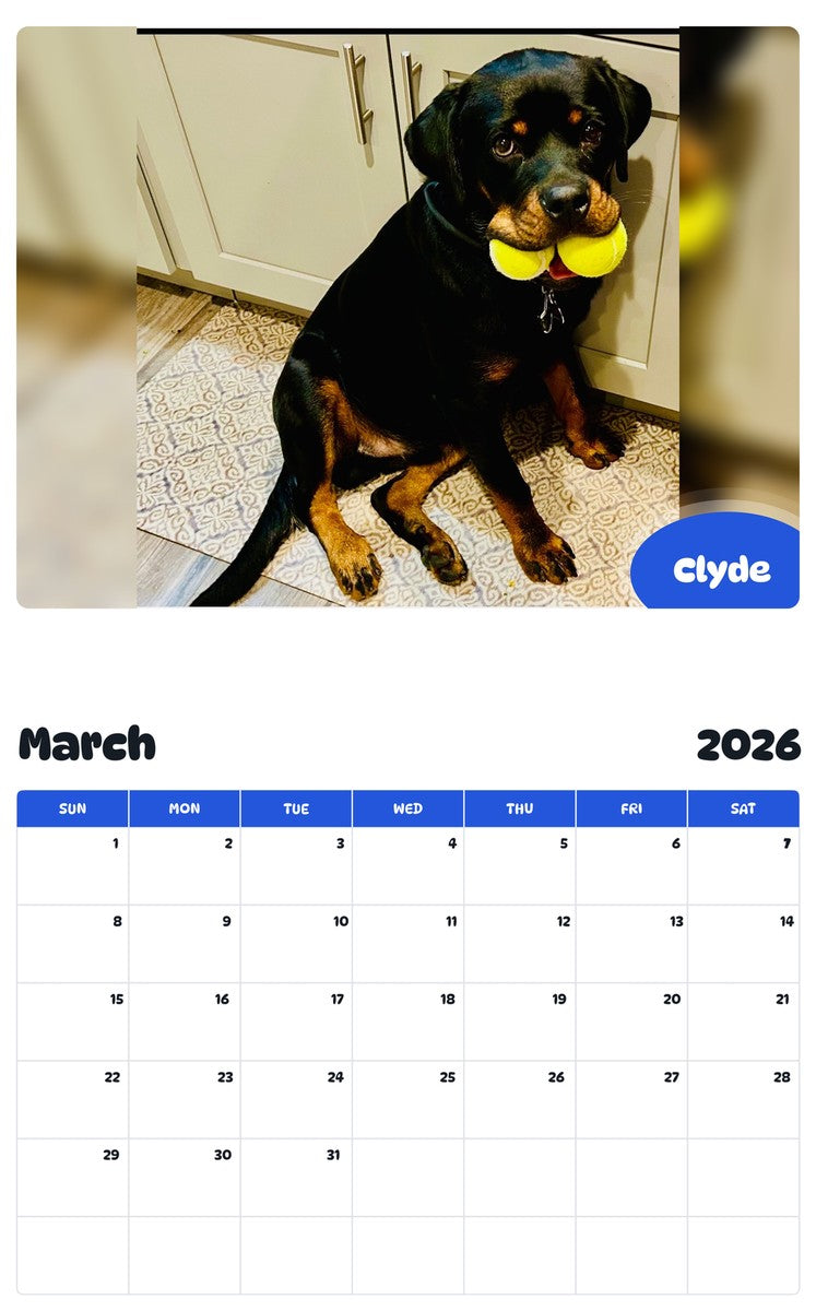 November 2025 - October 2026 Clyde - Pawidols Pet Calendar