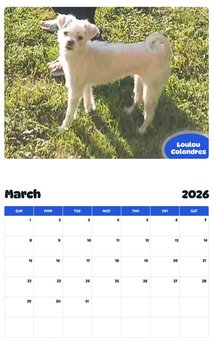 November 2025 - October 2026 Loulou Colondres - Pawidols Pet Calendar