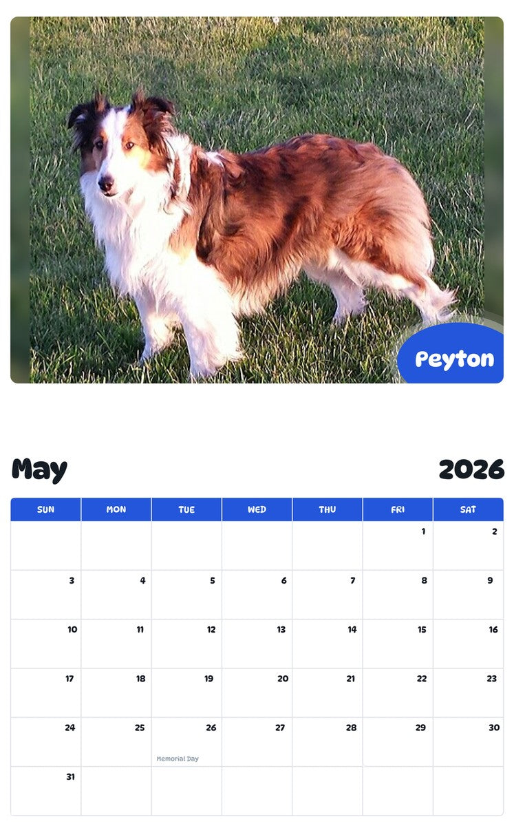 2026 - 2027 Peyton - Pawidols Pet Calendar