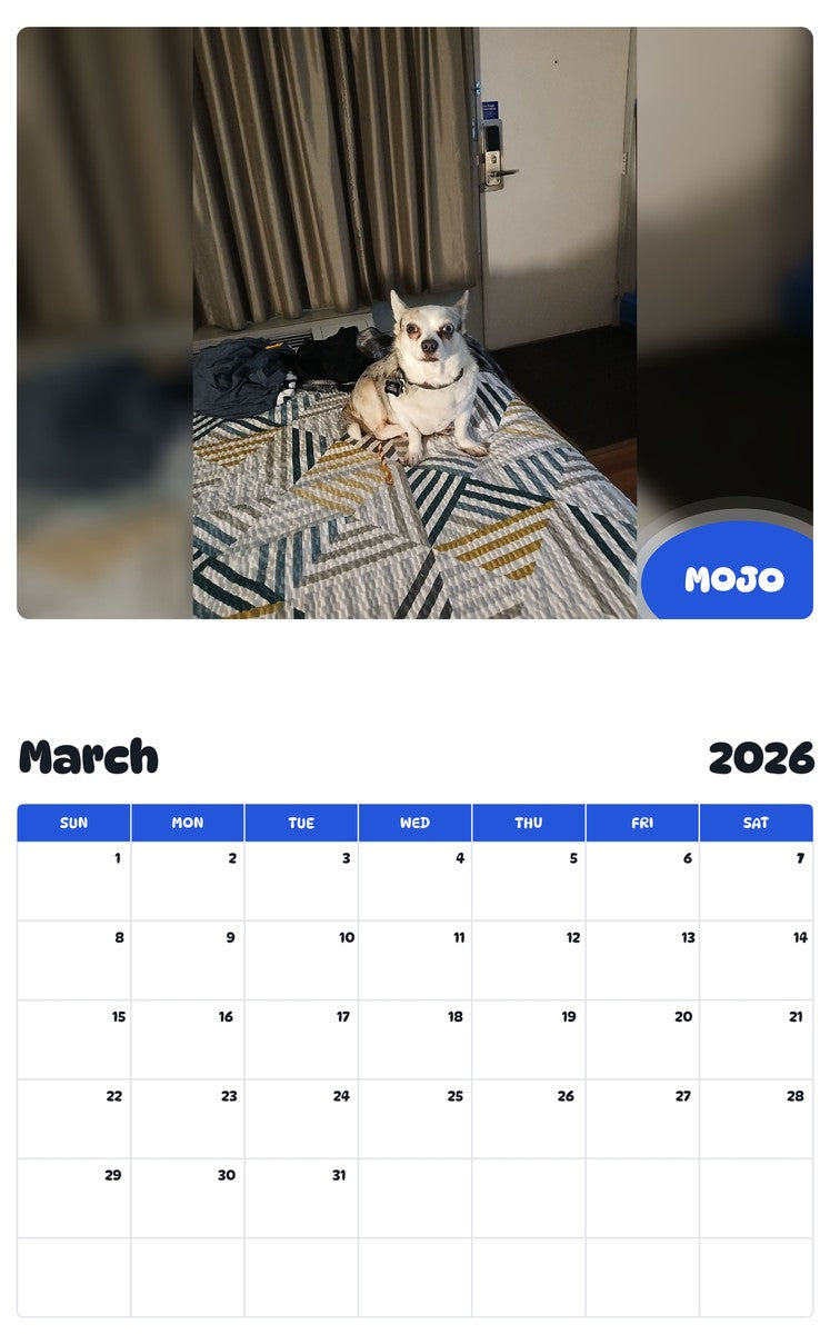 November 2025 - October 2026 MOJO - Pawidols Pet Calendar