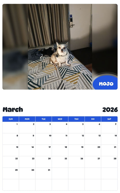 November 2025 - October 2026 MOJO - Pawidols Pet Calendar