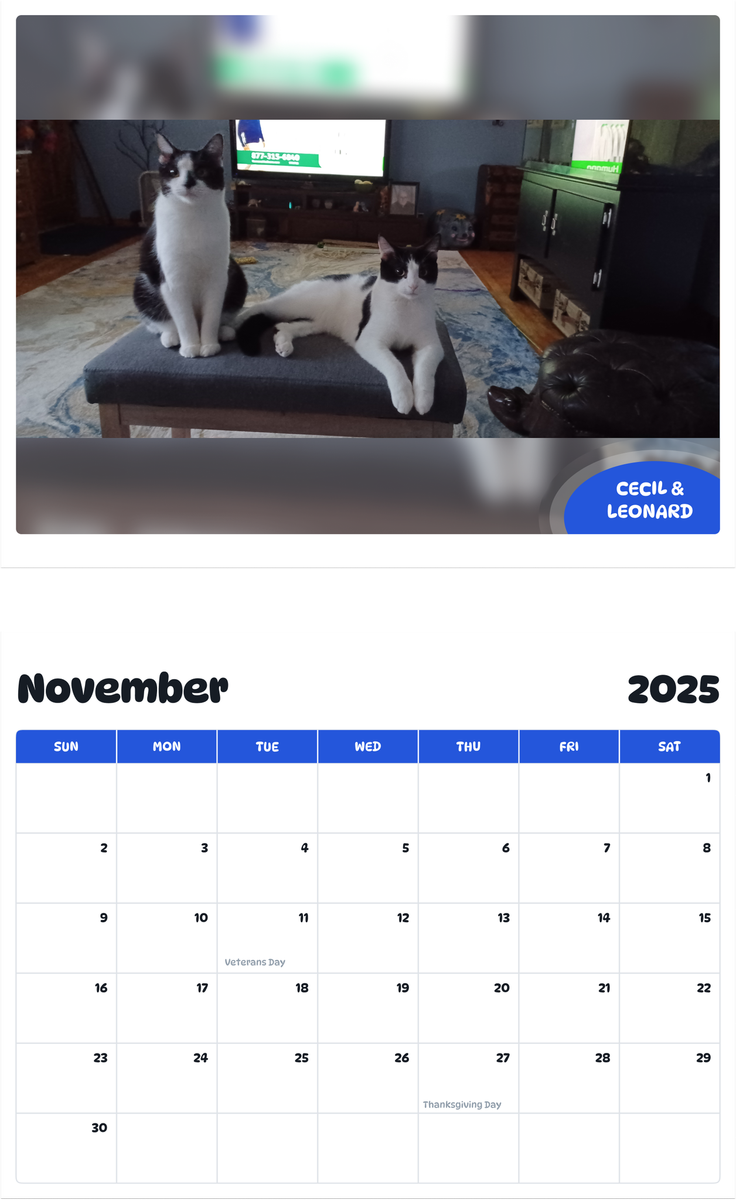 July 2025 - June 2026 Cecil & Leonard - Pawidols Pet Calendar