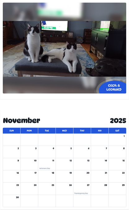 July 2025 - June 2026 Cecil & Leonard - Pawidols Pet Calendar
