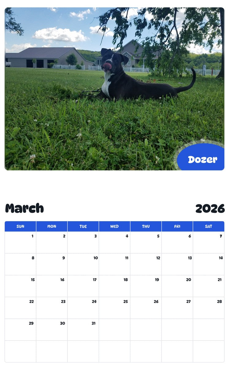 November 2025 - October 2026 Dozer - Pawidols Pet Calendar