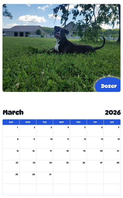 November 2025 - October 2026 Dozer - Pawidols Pet Calendar