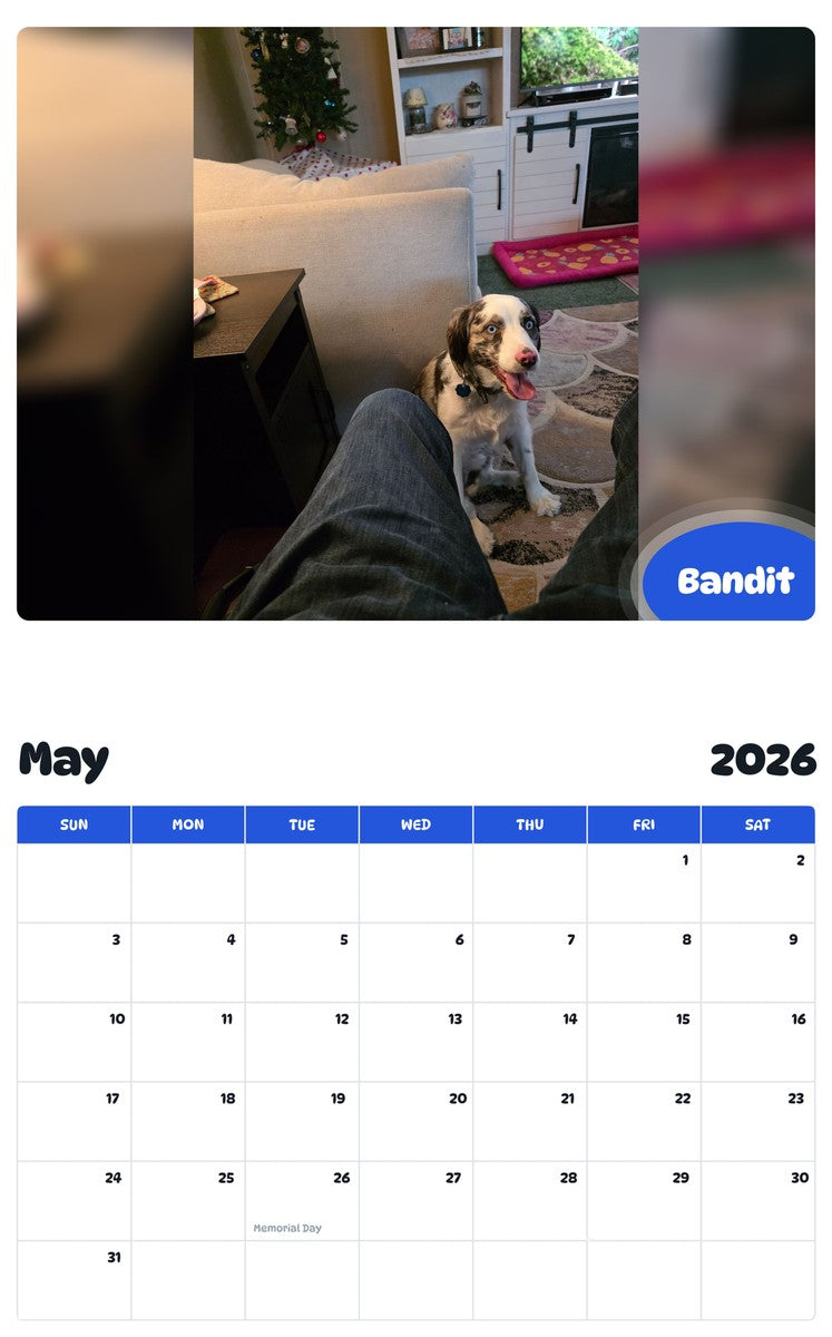 2026 - 2027 Bandit - Pawidols Pet Calendar