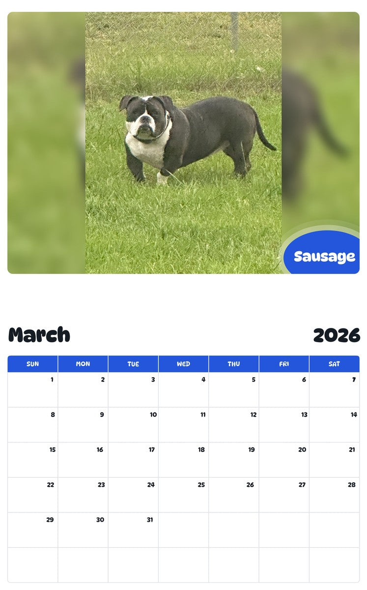 November 2025 - October 2026 Sausage - Pawidols Pet Calendar