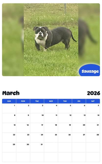 November 2025 - October 2026 Sausage - Pawidols Pet Calendar