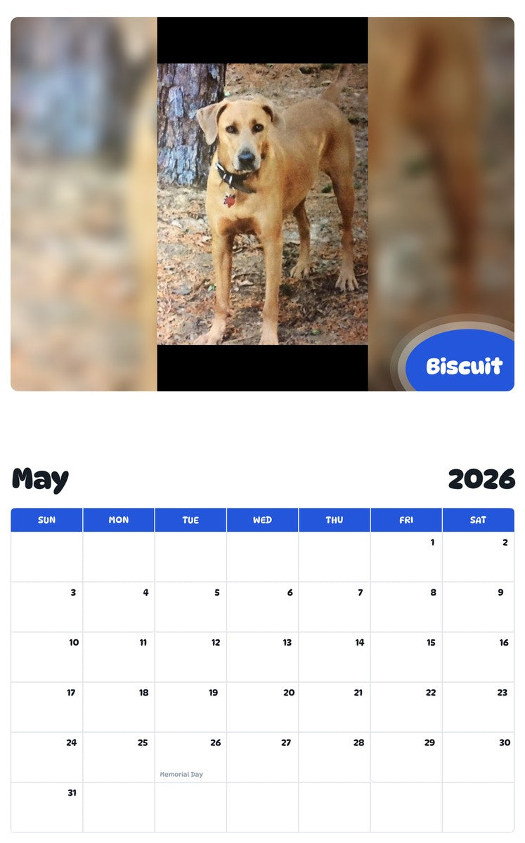 2026 - 2027 Biscuit - Pawidols Pet Calendar