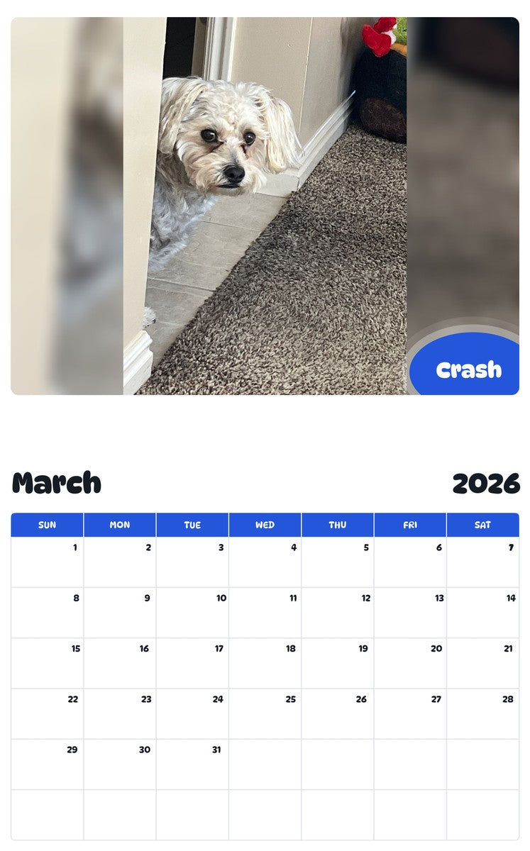 November 2025 - October 2026 Crash - Pawidols Pet Calendar